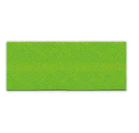 Biais unis Large Vert 56