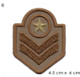 écusson militaire 6